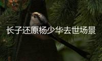 长子还原杨少华去世场景！头晕送医半路离世	，杨议隐瞒细节惹争议