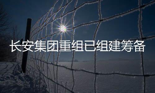 集团建筹抢增量”的重组原则