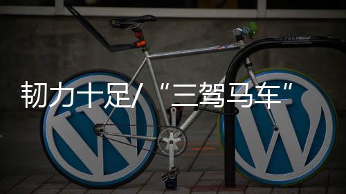 经济记两年平均增长4.3%