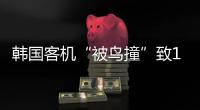 韩国客机“被鸟撞”致179死，飞机和飞鸟之间有几道防线？丨漫热点