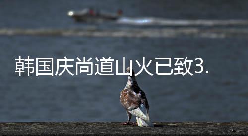 在此次持续大型山林火灾中