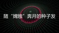 随“嫦娥”奔月的种子发芽了 与“前辈”相比它们经历大不同