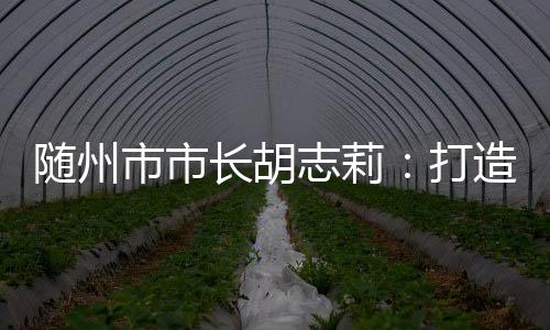 在助力湖北“建成支点”中