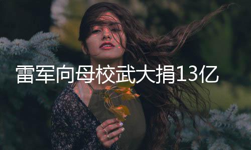 大捐是亿背一个企业赞助的