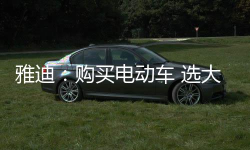 购买4段电压判断充电