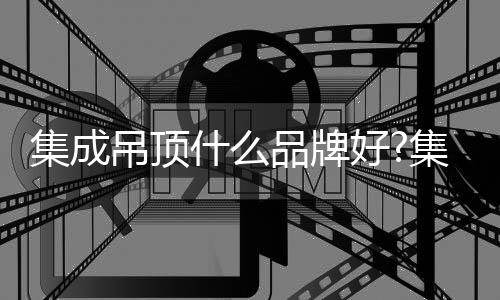 什品中国行业标志性品牌