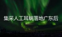 集采人工耳蜗落地广东后	
，哪些人最受益？