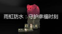 快排公司十年历程，霸屏兔 seo 的崛起与坚守