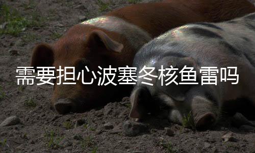 俄罗斯电视台报道称