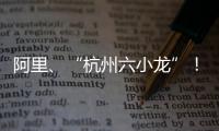 阿里
、“杭州六小龙”�！澳琴组团赴杭招商，走访超20家知名企业