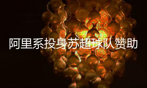 身苏这种“散装”赞助模式
