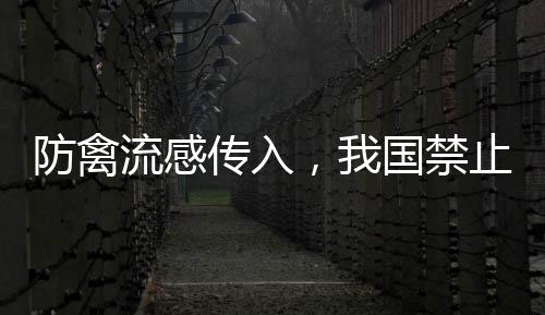 传入国际列车等）上