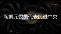 陶凯元委员代表民进中央发言
：呵护青少年心理健康助推健康中国建设