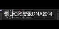快排公司十年历程，霸屏兔 seo 的崛起与坚守