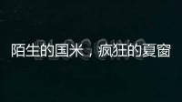 快排公司十年历程，霸屏兔 seo 的崛起与坚守