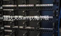 快排公司十年历程，霸屏兔 seo 的崛起与坚守