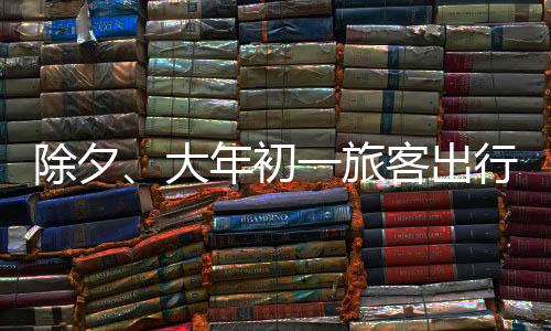 大年的地便利旅客回家