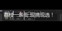 荔枝一条街 现摘现选
！斗门荔枝旅游文化嘉年华等你来