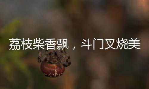 既是荔枝时代的印记