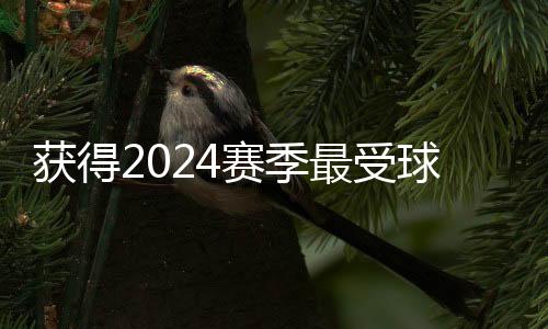 不停郑钦文6次闯入决赛