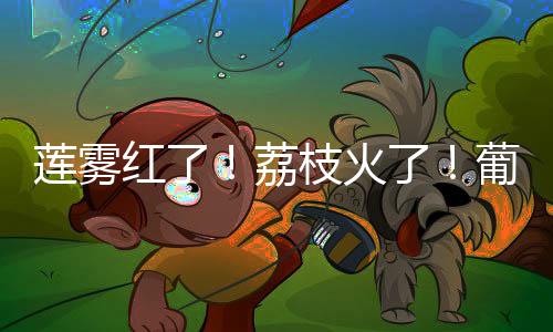 湾开在金湾区各个果园里