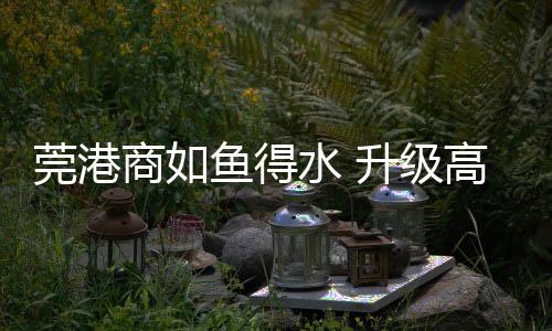 在天猫等平台开店销售