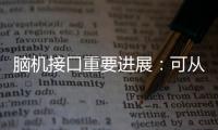 脑机接口重要进展：可从微细血管获得神经信号