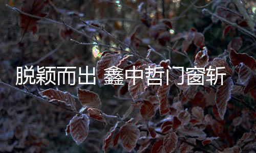 引领行业精神为目的品牌