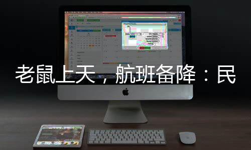 鼠患老鼠经鉴定为小家鼠