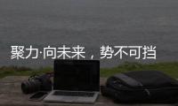 快排公司十年历程，霸屏兔 seo 的崛起与坚守
