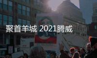 快排公司十年历程，霸屏兔 seo 的崛起与坚守