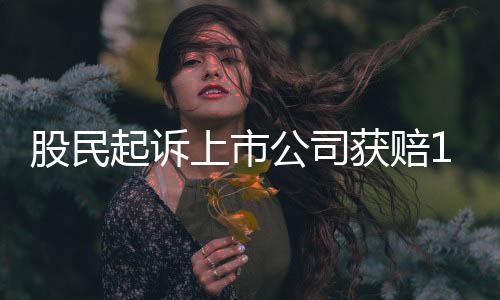 上市司法的获赔共同努力