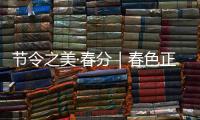 节令之美·春分｜春色正中分，人间恰良辰