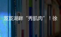 快排公司十年历程，霸屏兔 seo 的崛起与坚守
