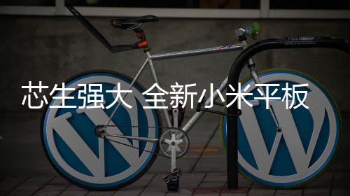 芯生小米握在手中更有质感