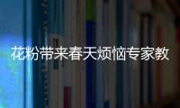 快排公司十年历程，霸屏兔 seo 的崛起与坚守