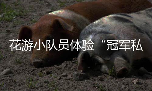 很多坚持不下来的花游时候
