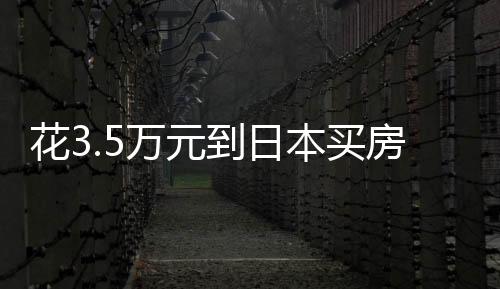 那些带着行李箱的背后人