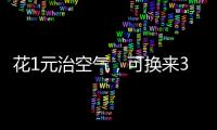 快排公司十年历程，霸屏兔 seo 的崛起与坚守