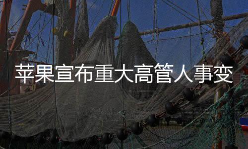 设计团队将直接向库克汇报
