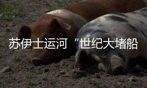 河世苏伊士运河堵船