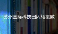 苏州国际科技园闪耀集微大会，展现千亿级“硬核科技”实力