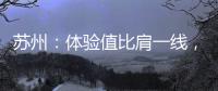 快排公司十年历程，霸屏兔 seo 的崛起与坚守
