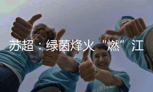 苏超在苏超早已成为常态