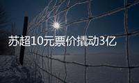 快排公司十年历程，霸屏兔 seo 的崛起与坚守