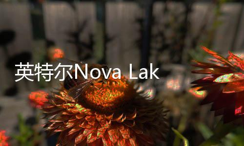 Nova Lake-HX将使用BGA2540接口