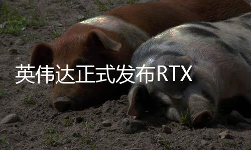 系列显配备8GB 128bit GDDR7显存