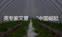 英专家文章�：“中国崛起见顶”是西方一厢情愿