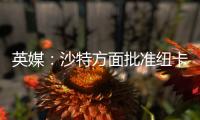 英媒
：沙特方面批准纽卡高价签伊兰加，目标还包括格伊等国脚球员