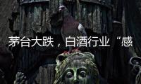 茅台大跌	，白酒行业“感受到冷气”